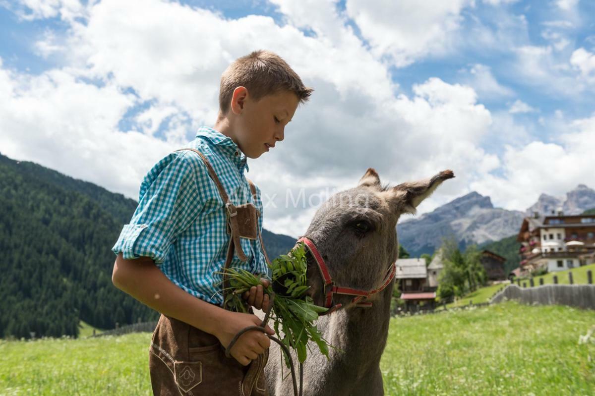Natur Luch Sossach La Villa  Esterno foto